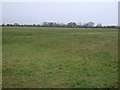 Farmland near Winterley