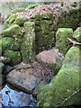 Posts and wall by the stepping stone, River North Teign