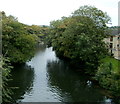 River Avon viewed from Cleveland Bridge, Bath