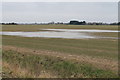 TF3218 : Waterlogged fields off Mill Gate by J.Hannan-Briggs