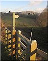 SX6888 : Footpath sign near Murchington by Derek Harper