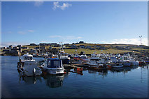 HU5362 : Marina in Symbister Harbour by Mike Pennington