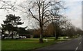 Ewhurst Green, Surrey