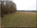 Public footpath between Lower Farm Road and Peens Lane