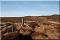 NR2361 : Fence near Cnoc na h-Uamha, Islay by Becky Williamson