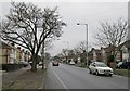 A grey morning on Perne Road