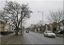 TL4757 : A grey morning on Perne Road by John Sutton