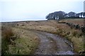 Track to Denton Moor above High Bank Farm