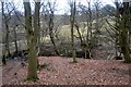 Footbridge in Fairy Dell over Bow Gill Beck