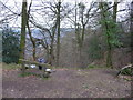 Bench above Cleddon Shoots in the Wye Valley