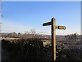 Footpath sign, Johnsfield