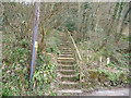 Hillside steps near Llandogo