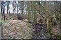 Skirfa Beck near Lane End Farm, Denton