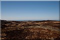 NR2463 : Beautiful dry stone dyke behind Sunderland Hill, Islay by Becky Williamson