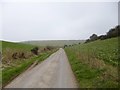 Cheselbourne, country lane