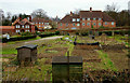 Allotments Near Norwich