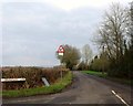 Drungewick Lane, Roundstreet Common