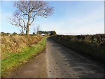 H4776 : Glenhordial Road by Kenneth  Allen