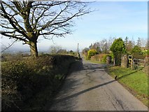 H4776 : Rylagh Road, Glenhordial by Kenneth  Allen