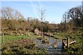 Boggy footpath