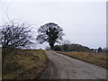 Lymballs Lane