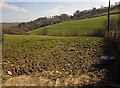 Valley near Woodland Barton