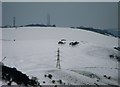TQ2410 : Pylons in the snow, near Devil's Dyke by nick macneill