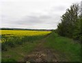 Field off Kirby Lane