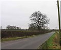 Towards Little Dalby