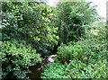 River Devon upstream