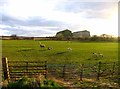 Fields west of Southill Road