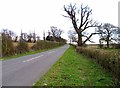 Bedford Road towards Old Warden