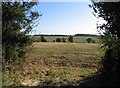 Towards River Stort