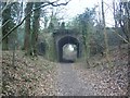 Tunnel under railway