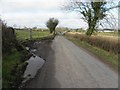 Shannaragh Road, Curly