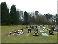 Bishopstoke Cemetery: February 2013