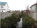 The Burren River above the Bryansford Avenue bridge