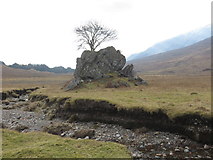 NN1732 : Large erratic complete with tree growing on it near the River Strae by John Ferguson