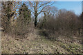 Footpath at Melton Leys