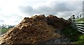 Manure heap, Lime End Farm, Herstmonceux