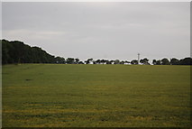 TL7576 : Farmland by Heronfield Belt by N Chadwick
