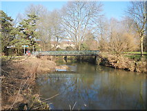 TL6907 : Bridge over the River Can, Admiral's Park by Paul Franks