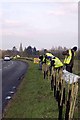 New Hedge In Birch Green