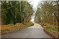 TQ0658 : Elm Lane, Wisley, Surrey by Peter Trimming