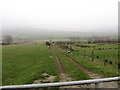 Field access lane leading off the B25 (Rostrevor Road)