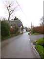 Winterborne Houghton, thatched cottages