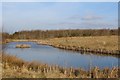 Pond & woodland west of Devonhill