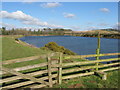 River Tweed at Easter Hendersyde