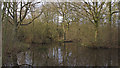 Pond in 3 Pond Field, Willow Park, Langdon Nature Reserve