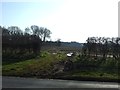 Field entrance off Stockport Road, Thelwall